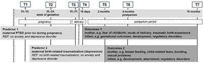 Prospective Associations of Lifetime Post-traumatic Stress Disorder and Birth-Related Traumatization With Maternal and Infant Outcomes